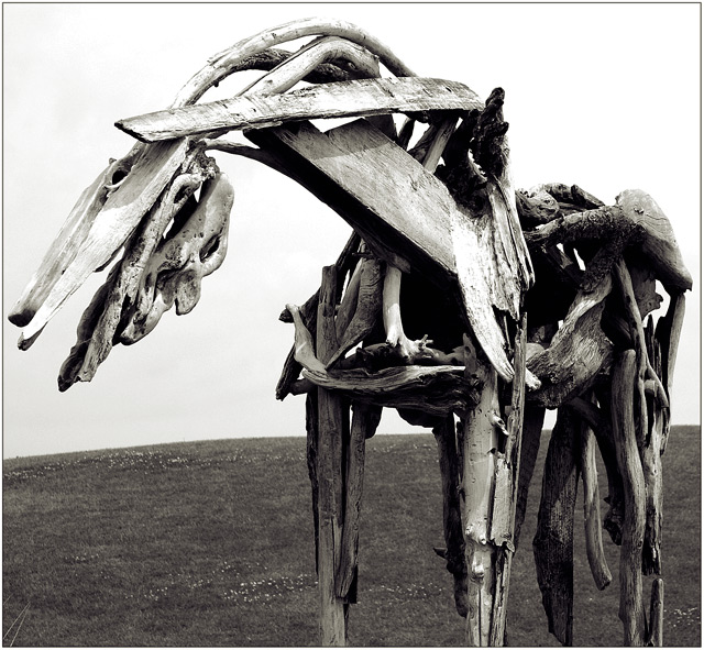 The Wooden Horse