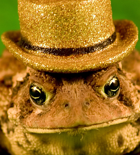 Mr. Toad
