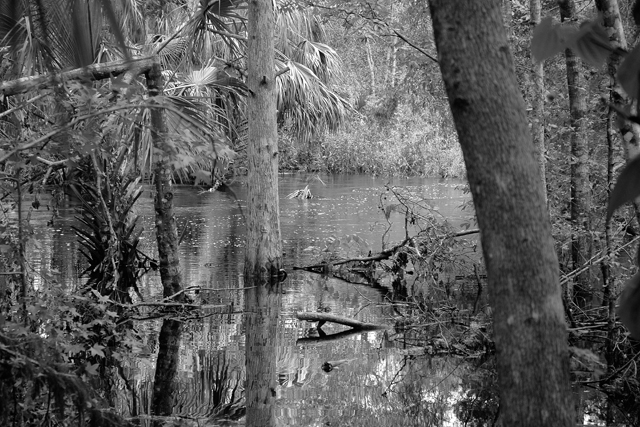 Howell Creek
