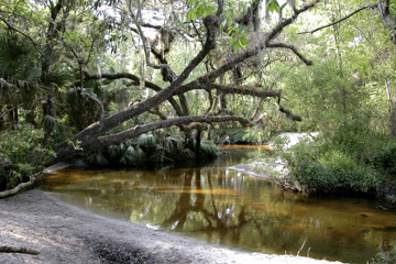 Howell Creek Low.jpg