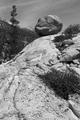 Tipsy Rock