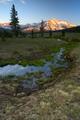 Meadow Stream