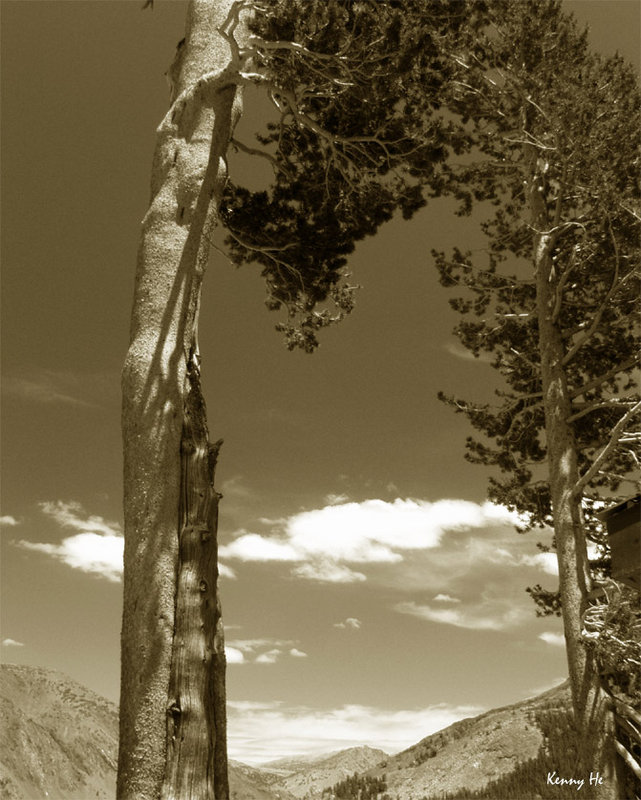 Lone Giant