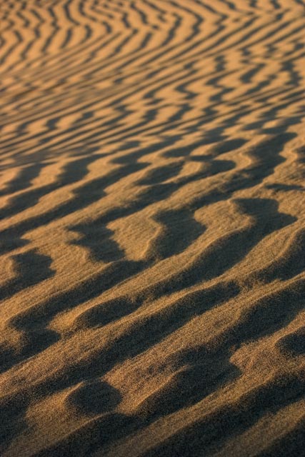 Melting Waves
