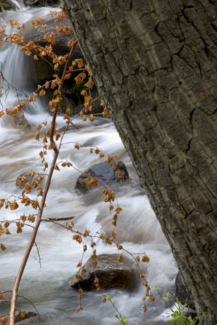 Small Creek
