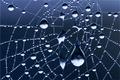 web-droplets.jpg