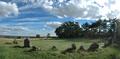 Kings Men Stone Circle