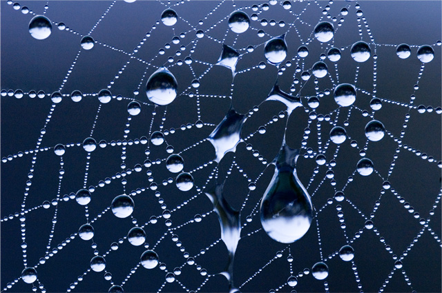 web-droplets.jpg