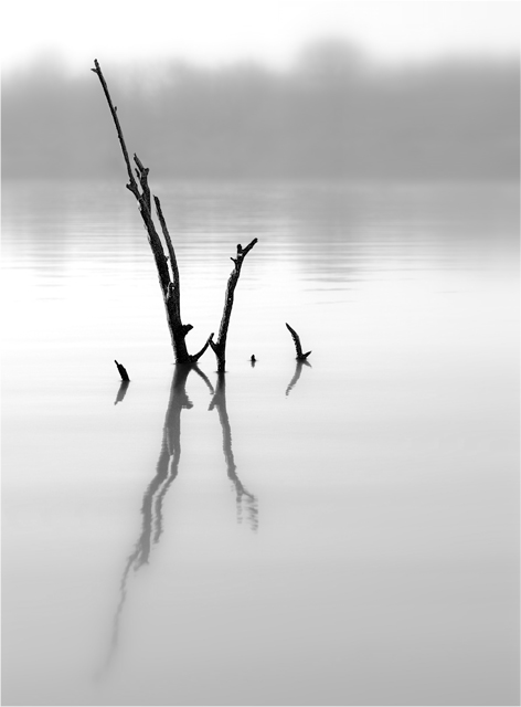 reflections.jpg