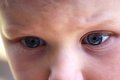 wills-face-macroIMG_1362.jpg