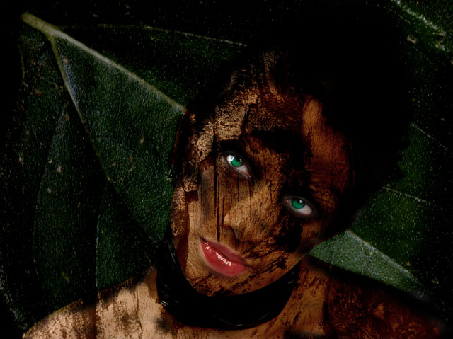 dark-liz.jpg