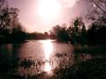 Calm at the waters edge