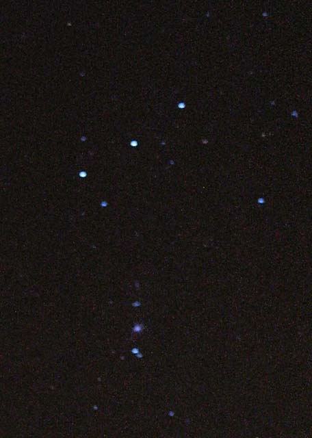 Orion Nebula