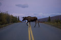 20080903_1662.CR2   .jpg