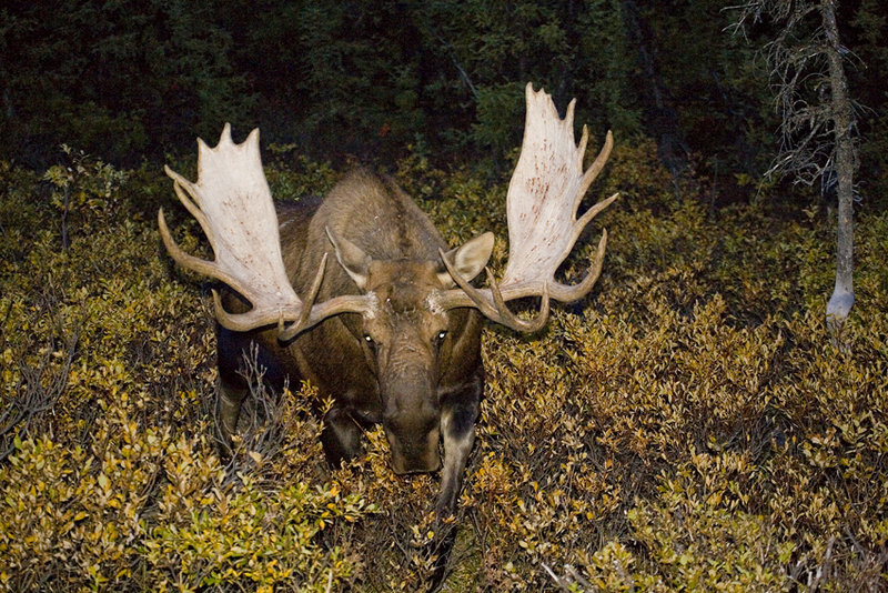 20080903_1667.jpg