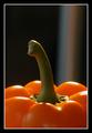 Red pepper