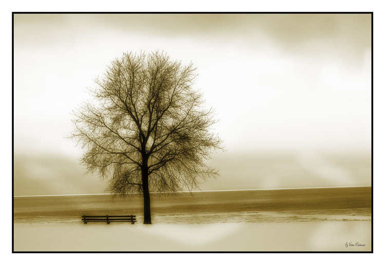 winter time 01.jpg