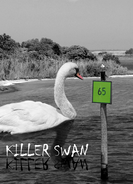 KillerSwan.jpg