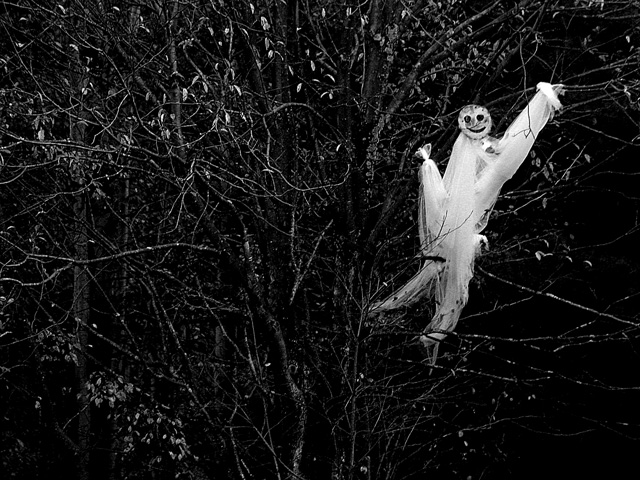 Ghost.jpg