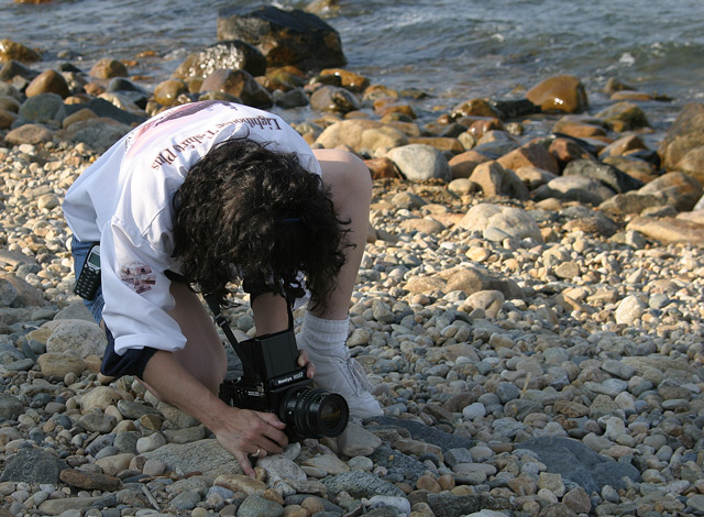 244_4443.jpg
