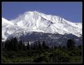 Shasta Vista