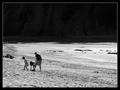 Beach Players