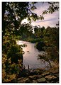 River View