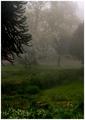 A Foggy Morning View