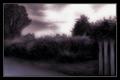 Serene Evening (cool)