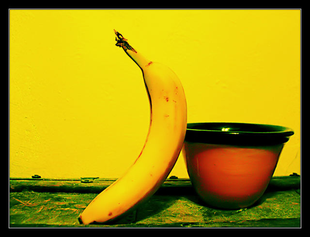 Balanced Between Red and Green