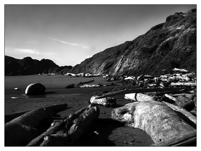 Driftwood