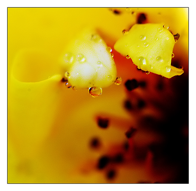 Inner