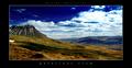 polarizer