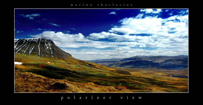 polarizer