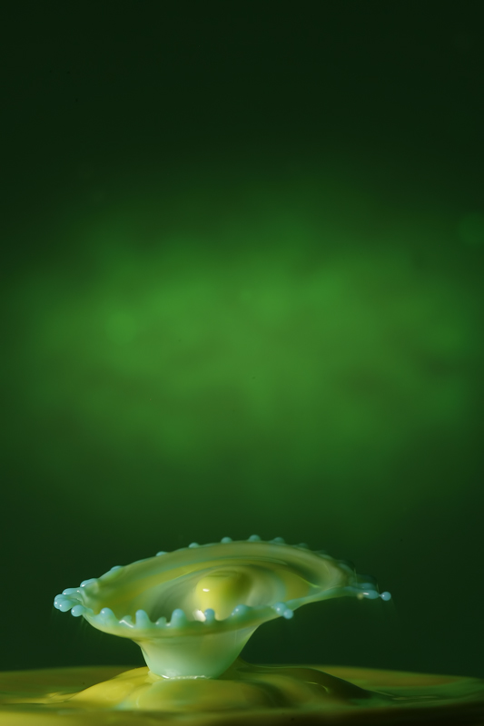 _C6M1019