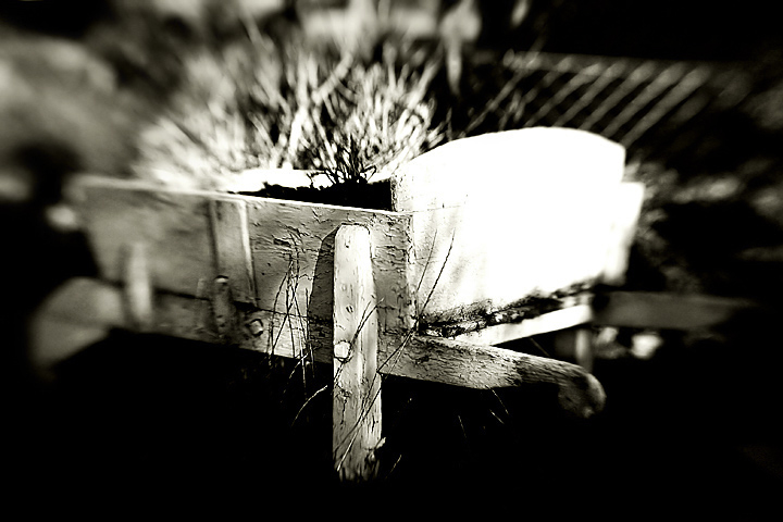 barrow (6 of 31)