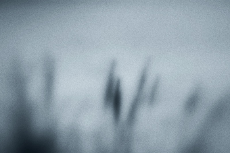 sentinel