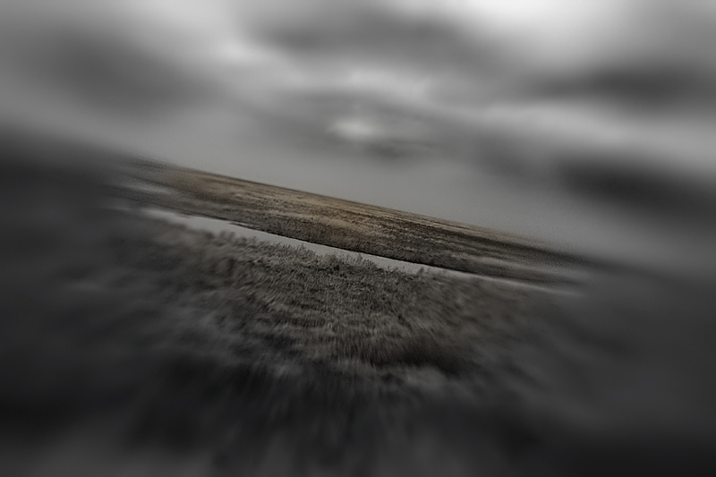 across the Marshes