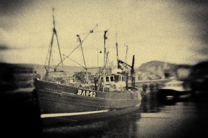 The Trawler