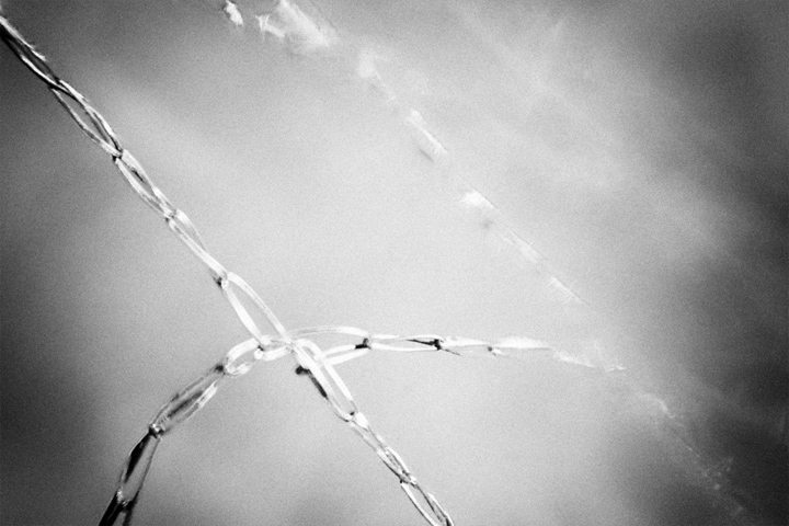 fenced in