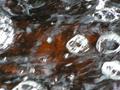 Highland Water