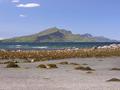 Ben Tiannavaig