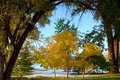meeting of the seasons