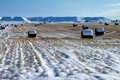 Snow Bails