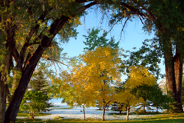 meeting of the seasons