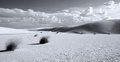 White Sands B&W