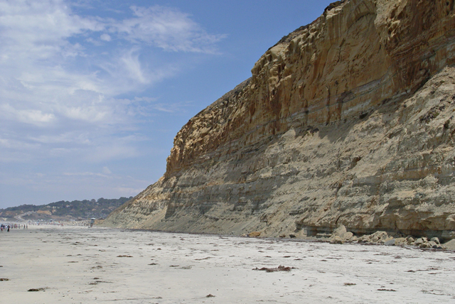 torreypinescliffs.jpg