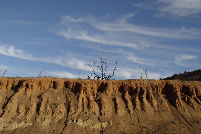 After the Fire.jpg