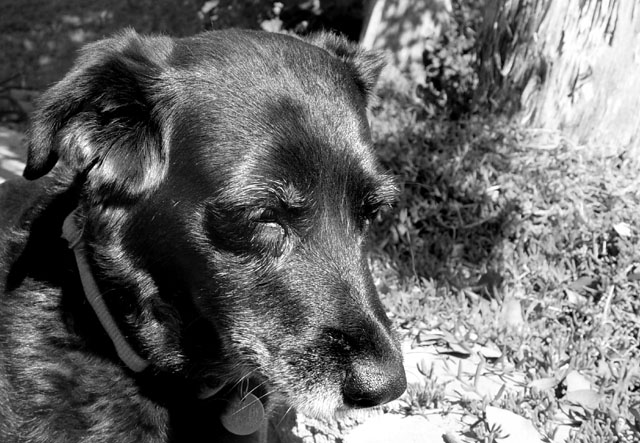 Camera Shy