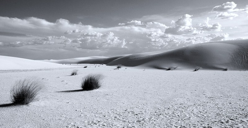 White Sands B&W